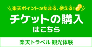 楽天トラベル　チケット購入