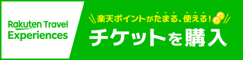 楽天トラベル　チケットを購入