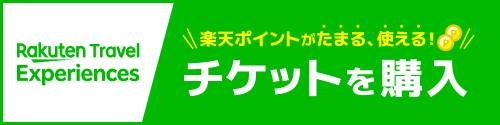 楽天トラベル　チケット購入